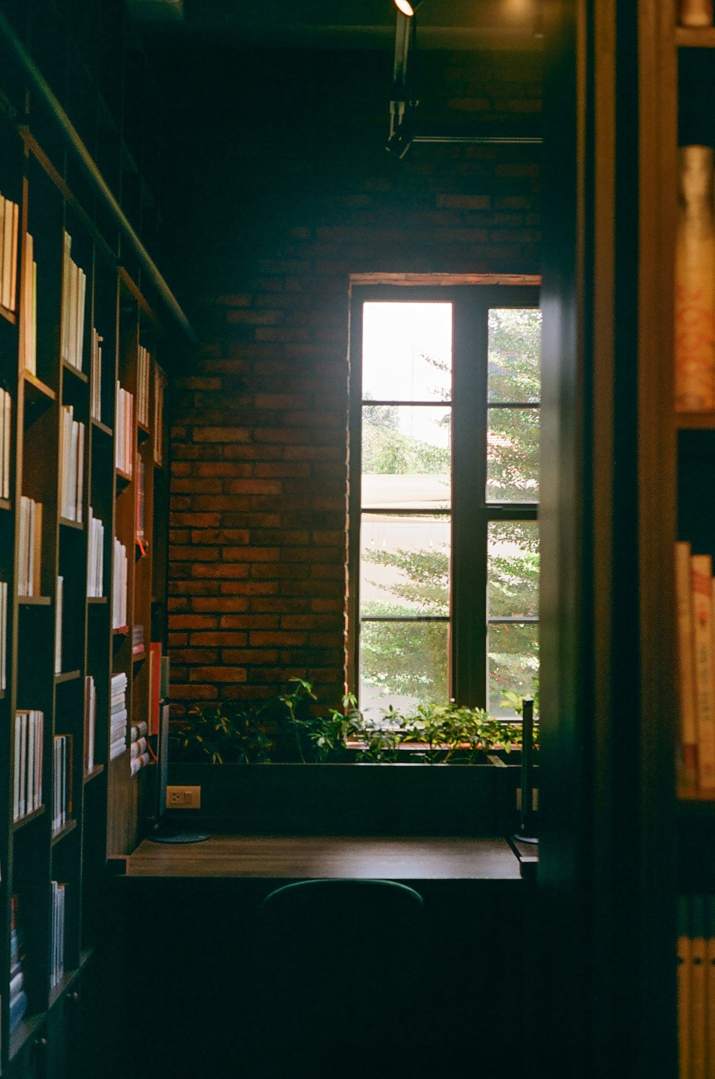 Why Slowing Down is the Ultimate Productivity Hack